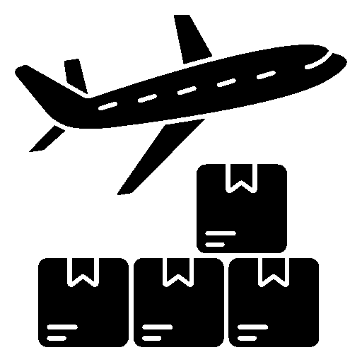 air-cargo copy